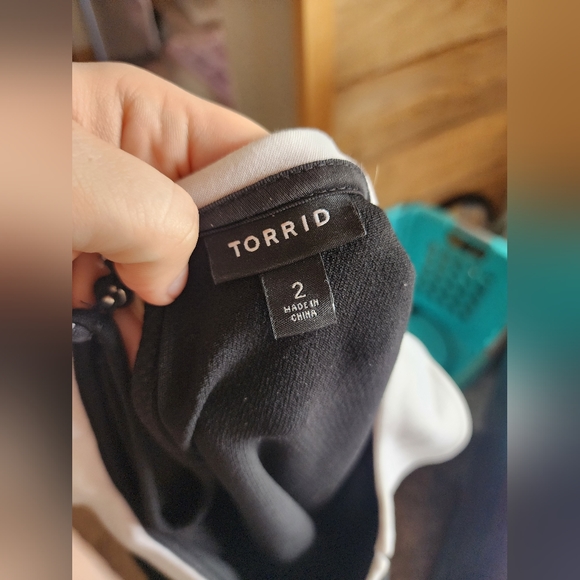 Torrid Collared Dress, Addams Inspired - Picture 4 of 4